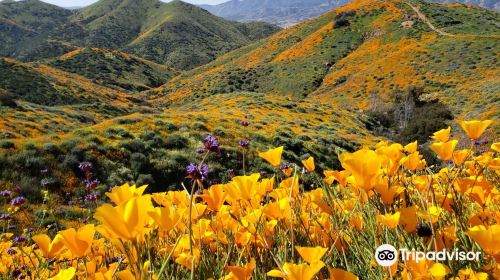 Walker Canyon Trailhead