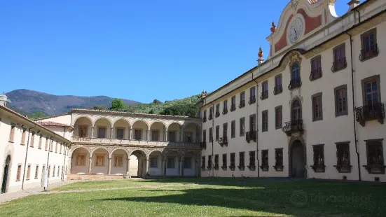 Natural History Museum of the University of Pisa