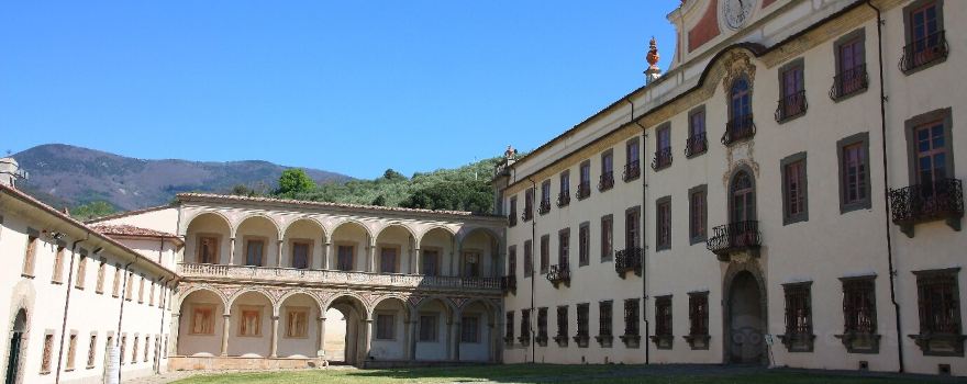 Natural History Museum of the University of Pisa