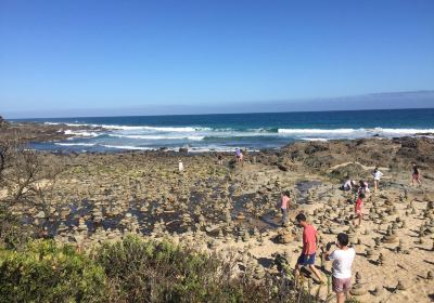 Carisbrook Creek