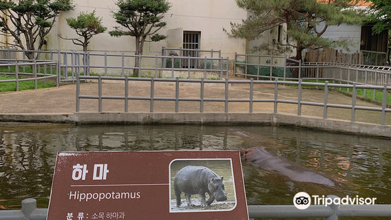 Jeonju Zoo