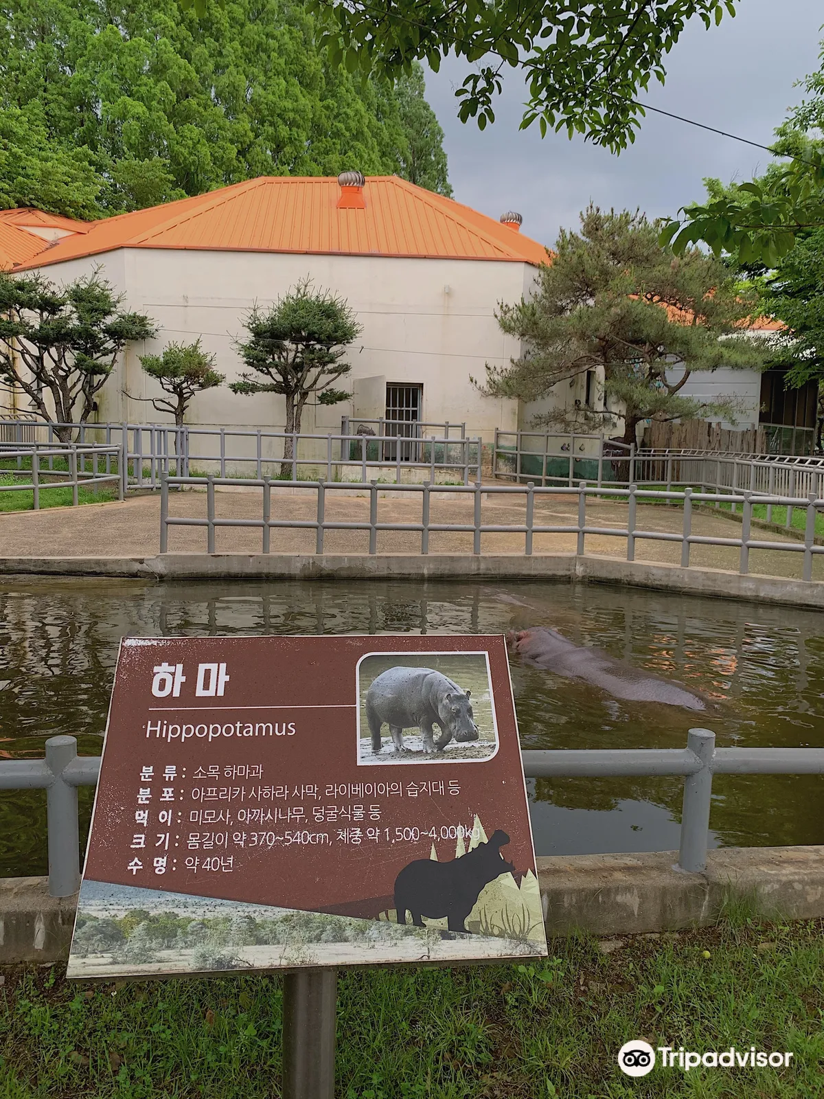 Jeonju Zoo