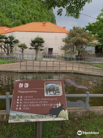Jeonju Zoo