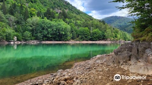 Lac d’Alfeld