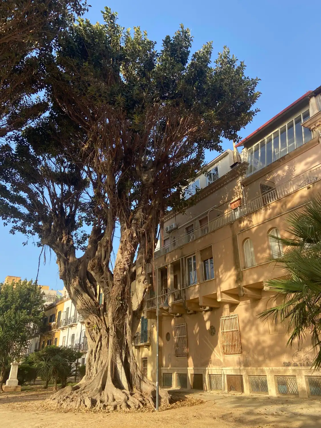 Hotels near Villa Cavallotti