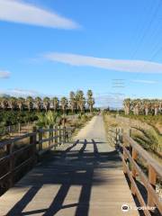 Via Verde de Denia