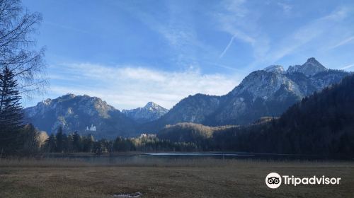 Schwansee