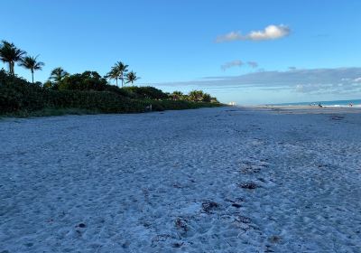 Jupiter Dog Beach