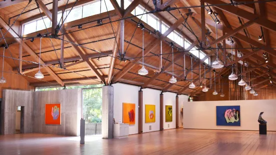 Morrison Gallery