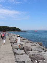 Okinoshima Island