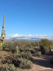 McDowell Mountain Regional Park