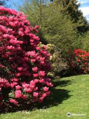 Heritage Park Rhododendron Gardens