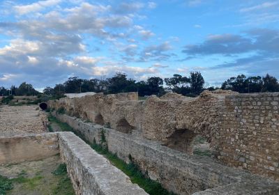 Carthage  Aqueduct