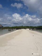 Buntod Sandbar and Reef Marine Sanctuary