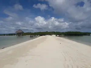 Buntod Reef Marine Sanctuary