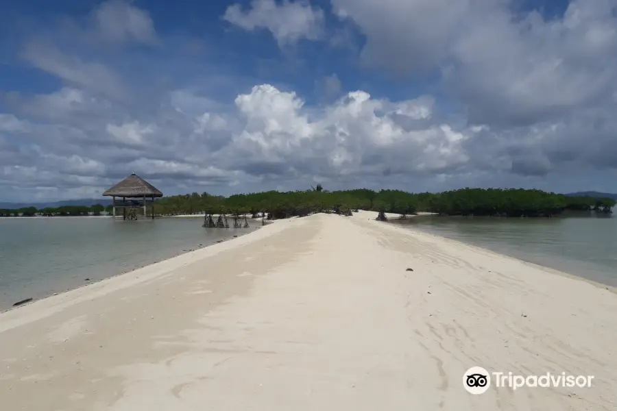 Buntod Reef Marine Sanctuary