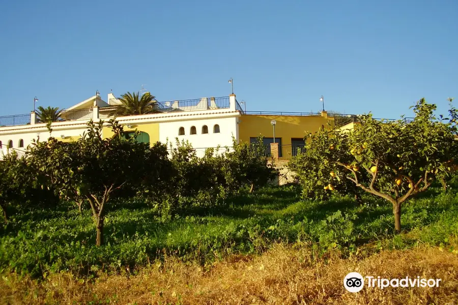 Aziende Agricole Quignones