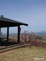 Samegao Castle Ruins