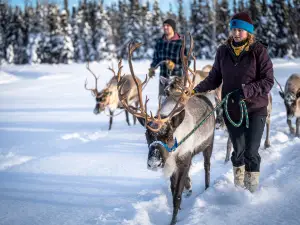 Chena Outdoor Collective LLC