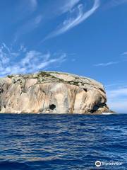 Wilsons Promontory Cruises