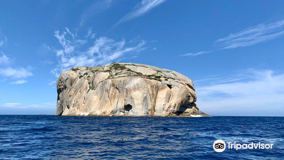 Wilsons Promontory Cruises