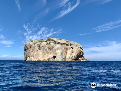 Wilsons Promontory Cruises