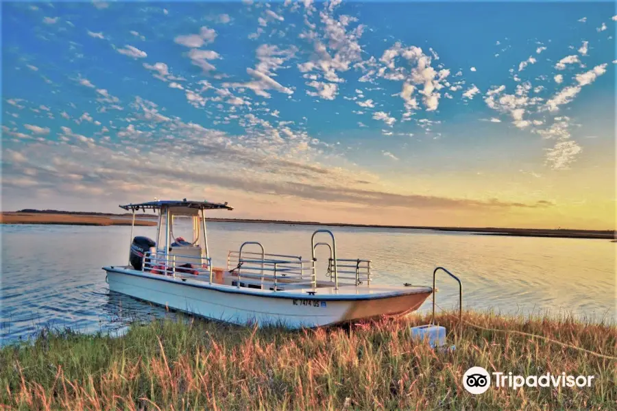 Lady Swan Boat Tours