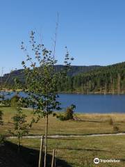 Pantano de Arce