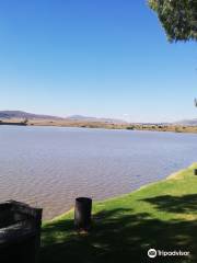 Emanzini Resort Vrede Dam