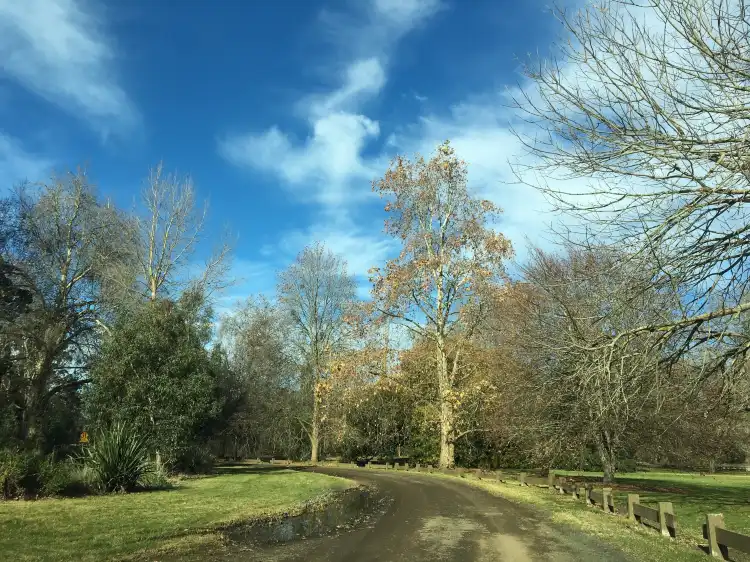 Berrys Creek住宿飯店