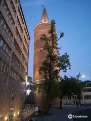 Пястовская башня