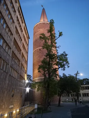 Piast Tower