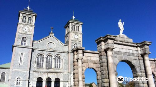 The Basilica Cathedral of St. John the Baptist