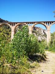 Hoces del Río Riaza Natural Reserve