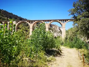 Hoces del Río Riaza Natural Park