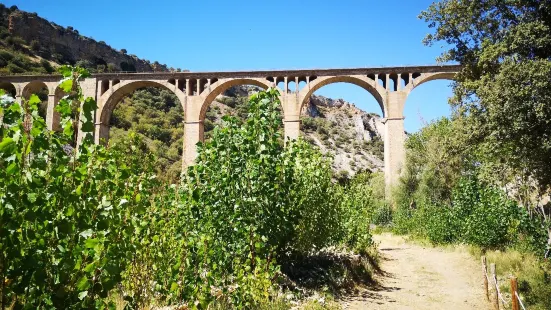 Hoces del Río Riaza Natural Reserve