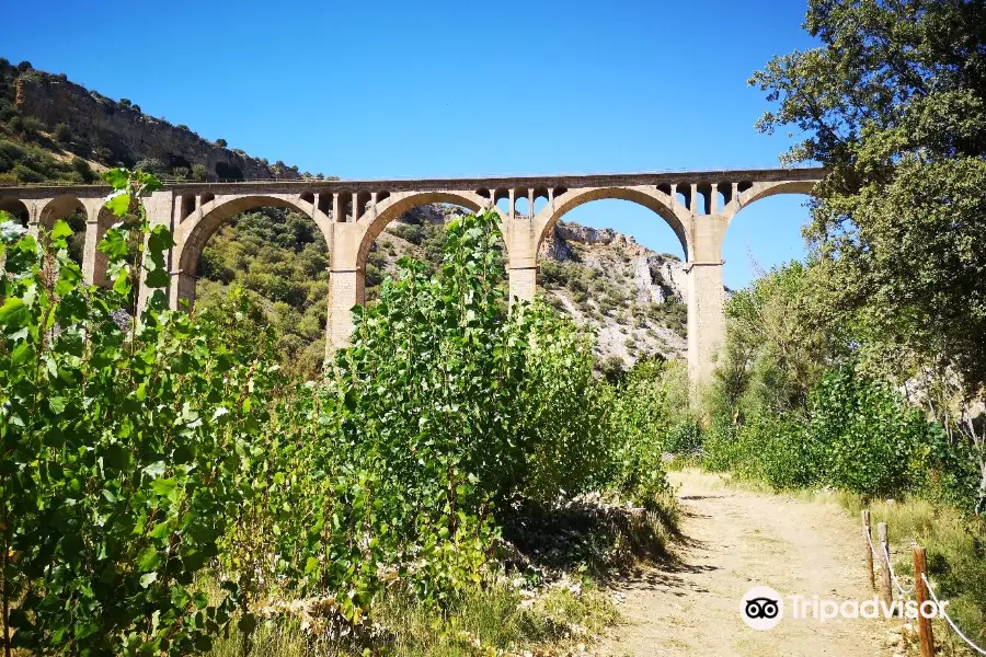 Hoces del Río Riaza Natural Reserve