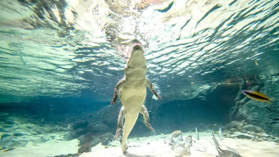 AQUATIS Aquarium-Vivarium Lausanne