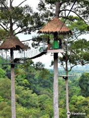 Skyhawk Adventure Zipline Koh Samui