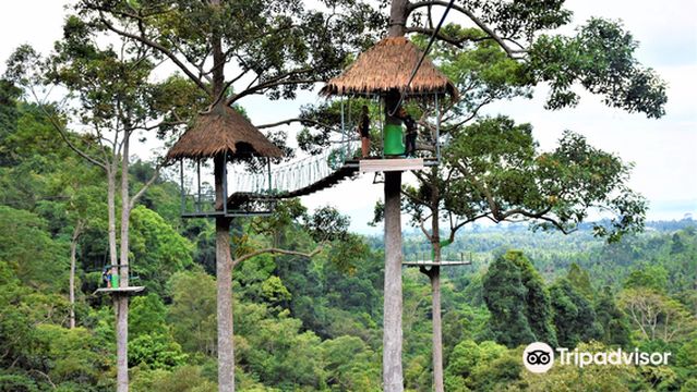 Hawk Adventure Zipline Park Koh Samui