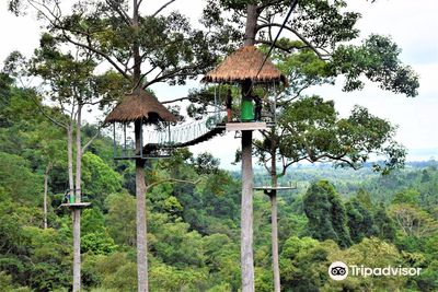 Hawk Adventure Zipline Park Koh Samui