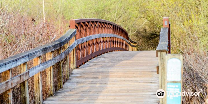 Mercer Slough Nature Park