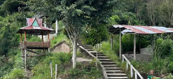 Karo