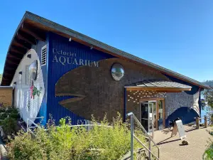 Ucluelet Aquarium