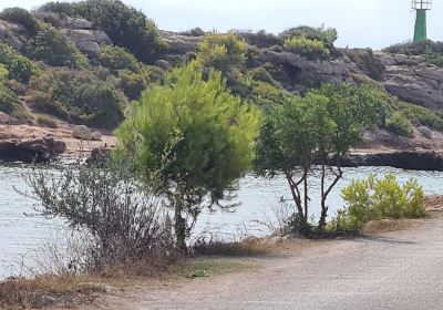 Platja de l'Estany