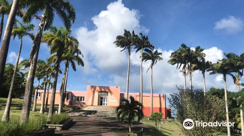 Edgar Clerc Caribbean Heritage Museum