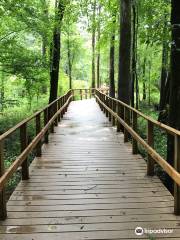 Moores Creek National Battlefield