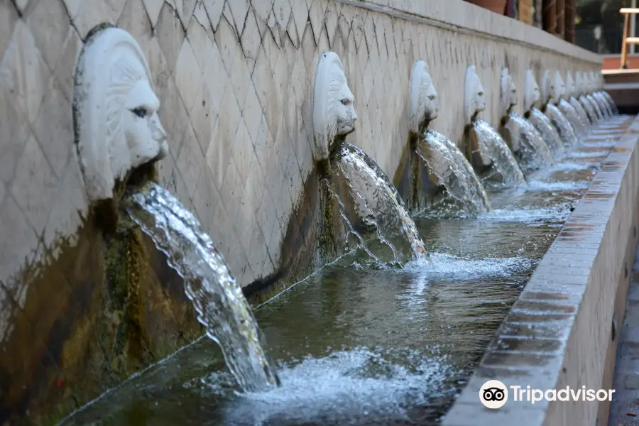 The Lion Fountains