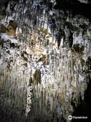 Gunns Plains Caves