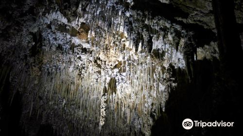 Gunns Plains Caves